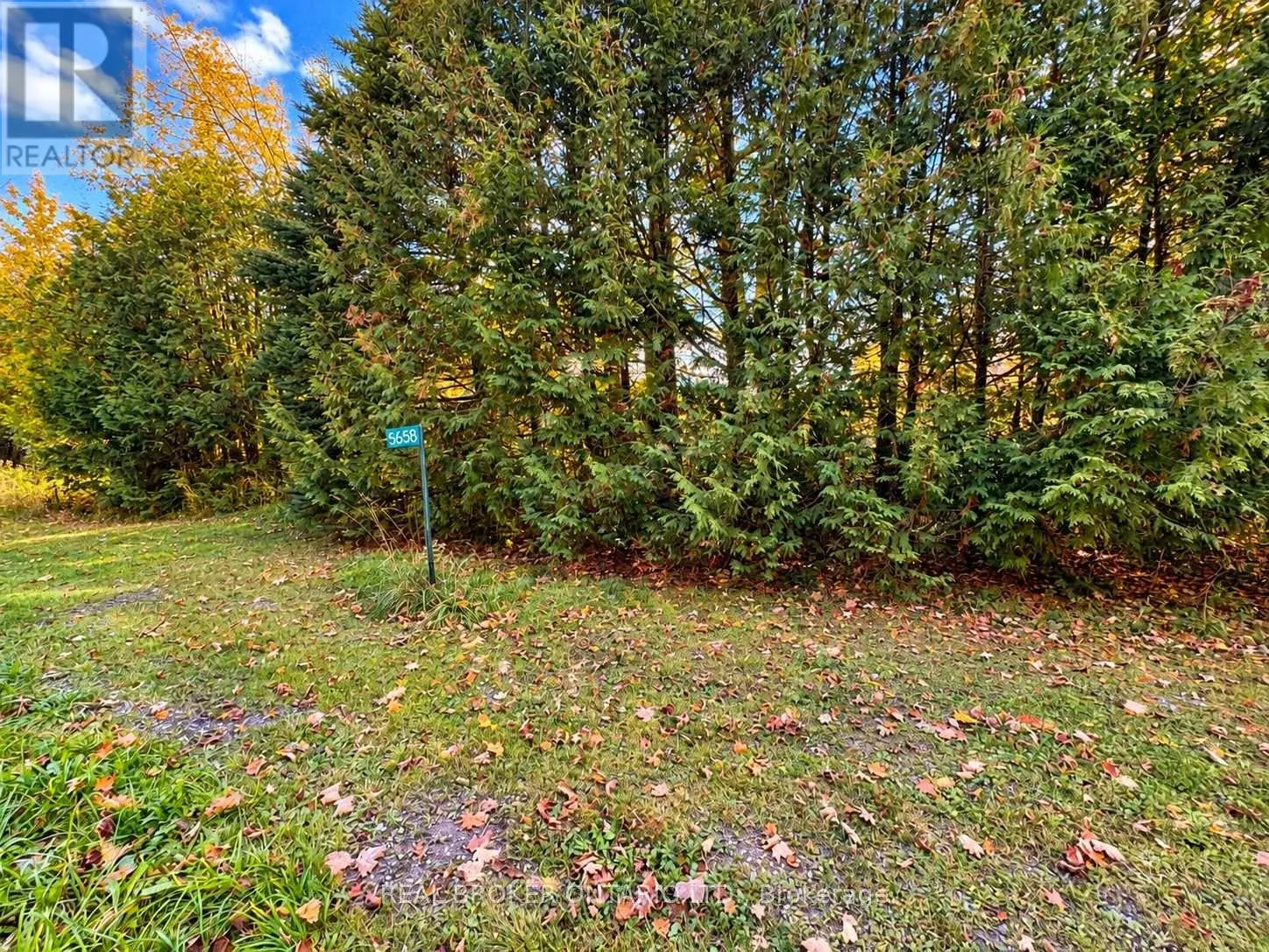 5658 WILLISON SIDE ROAD