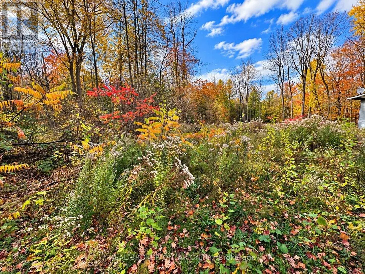 5670 WILLISON SIDE ROAD