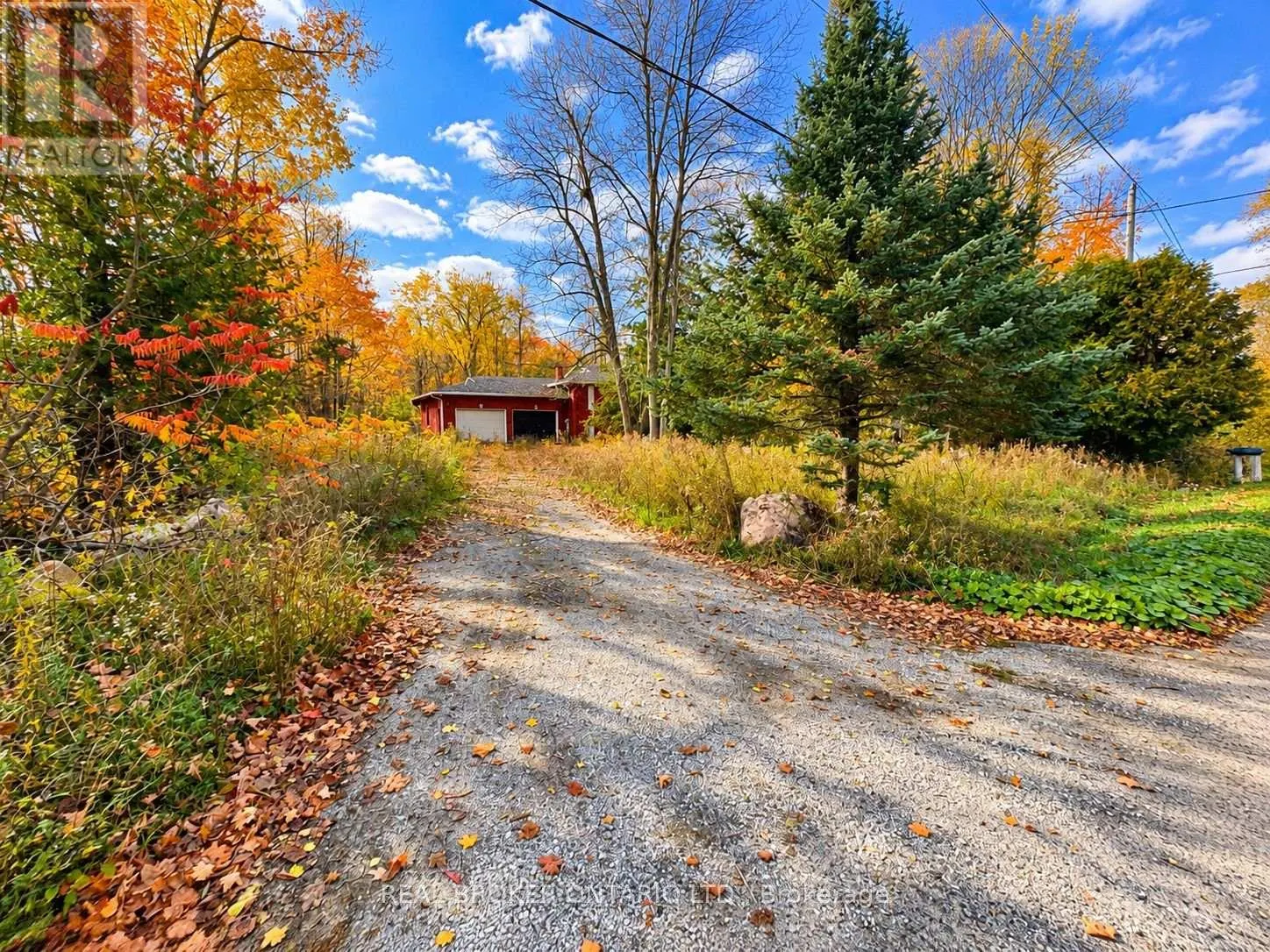 5670 WILLISON SIDE ROAD