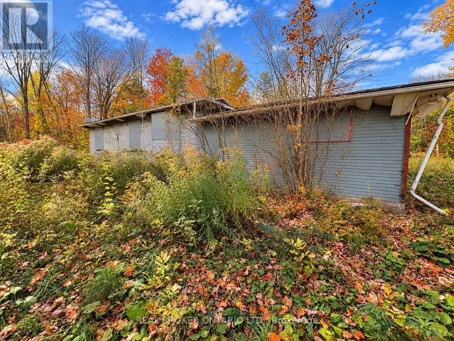 5670 WILLISON SIDE ROAD