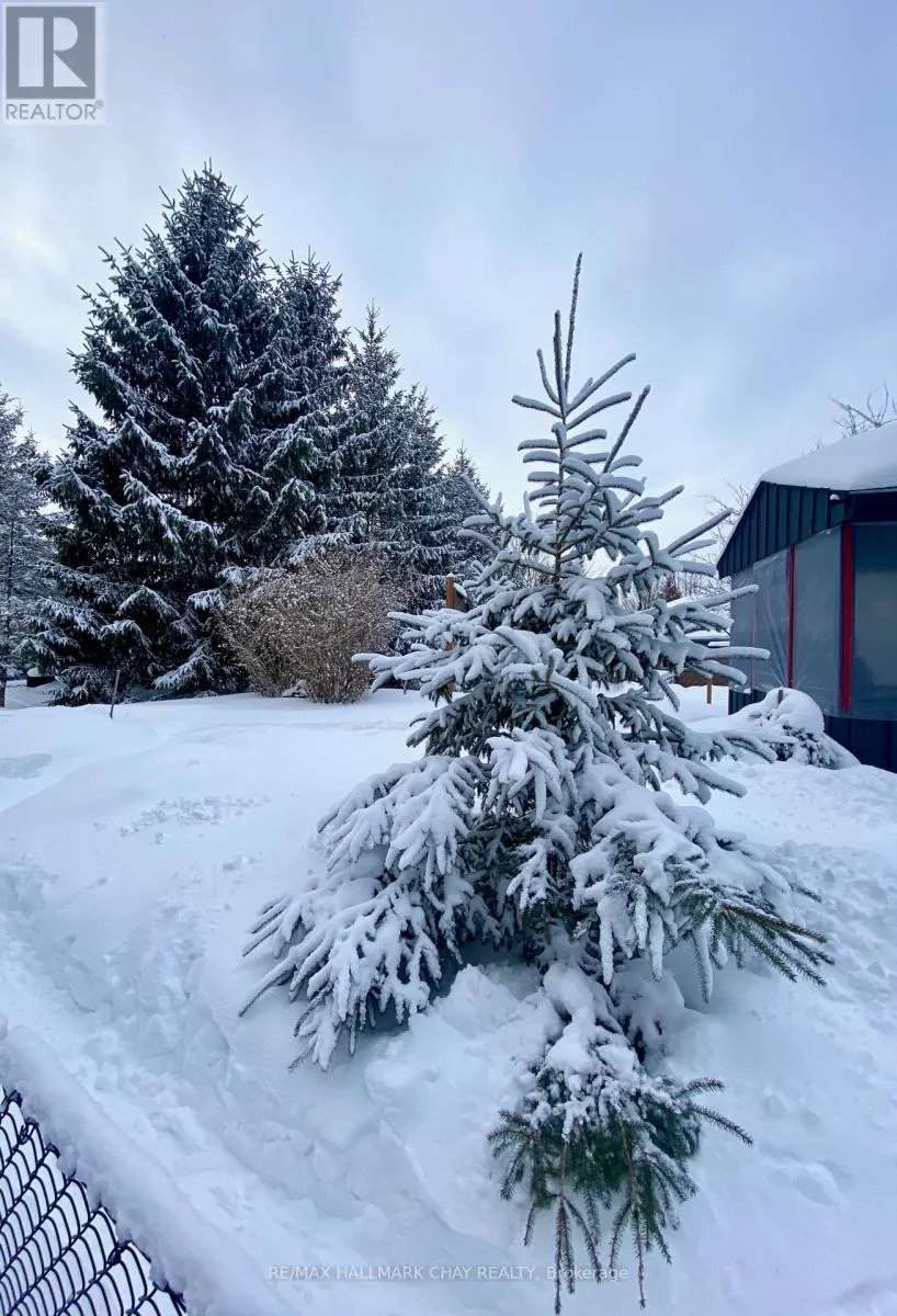 19 EDER TRAIL