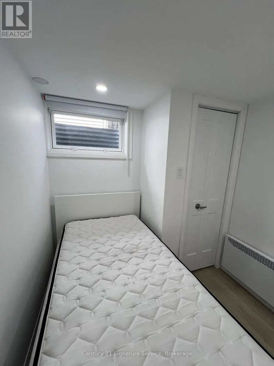 BASEMENT - 223 HICKLING TRAIL
