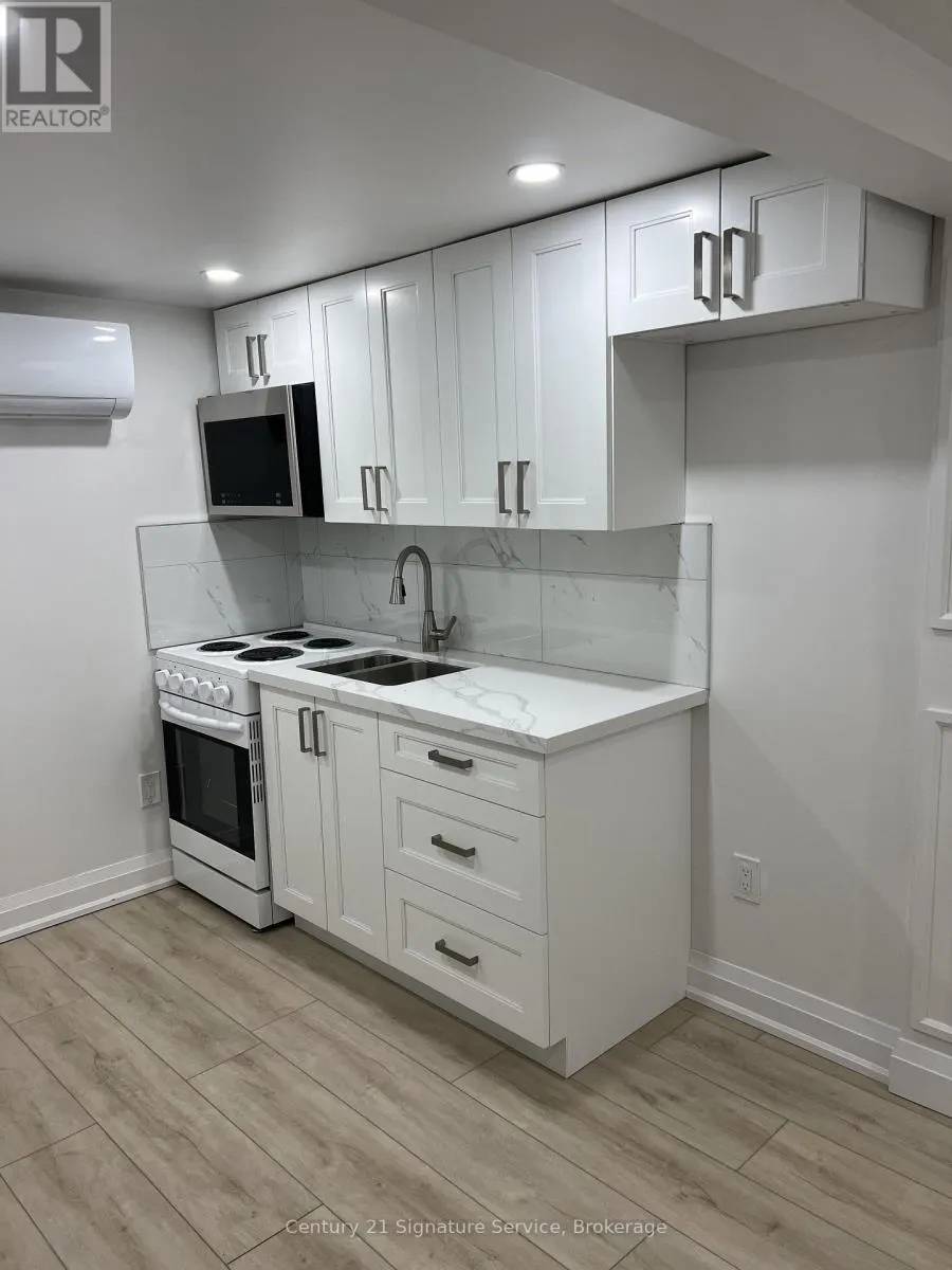 BASEMENT - 223 HICKLING TRAIL