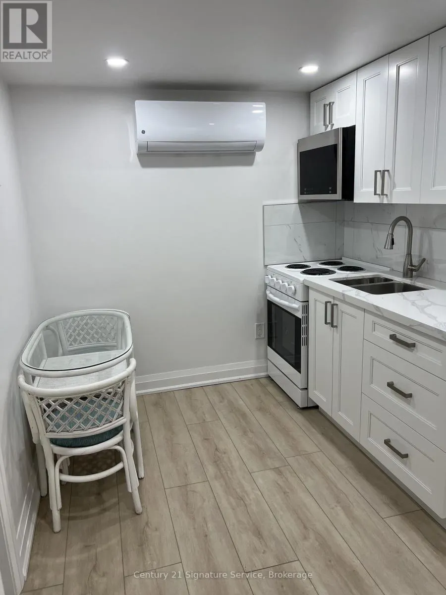 BASEMENT - 223 HICKLING TRAIL