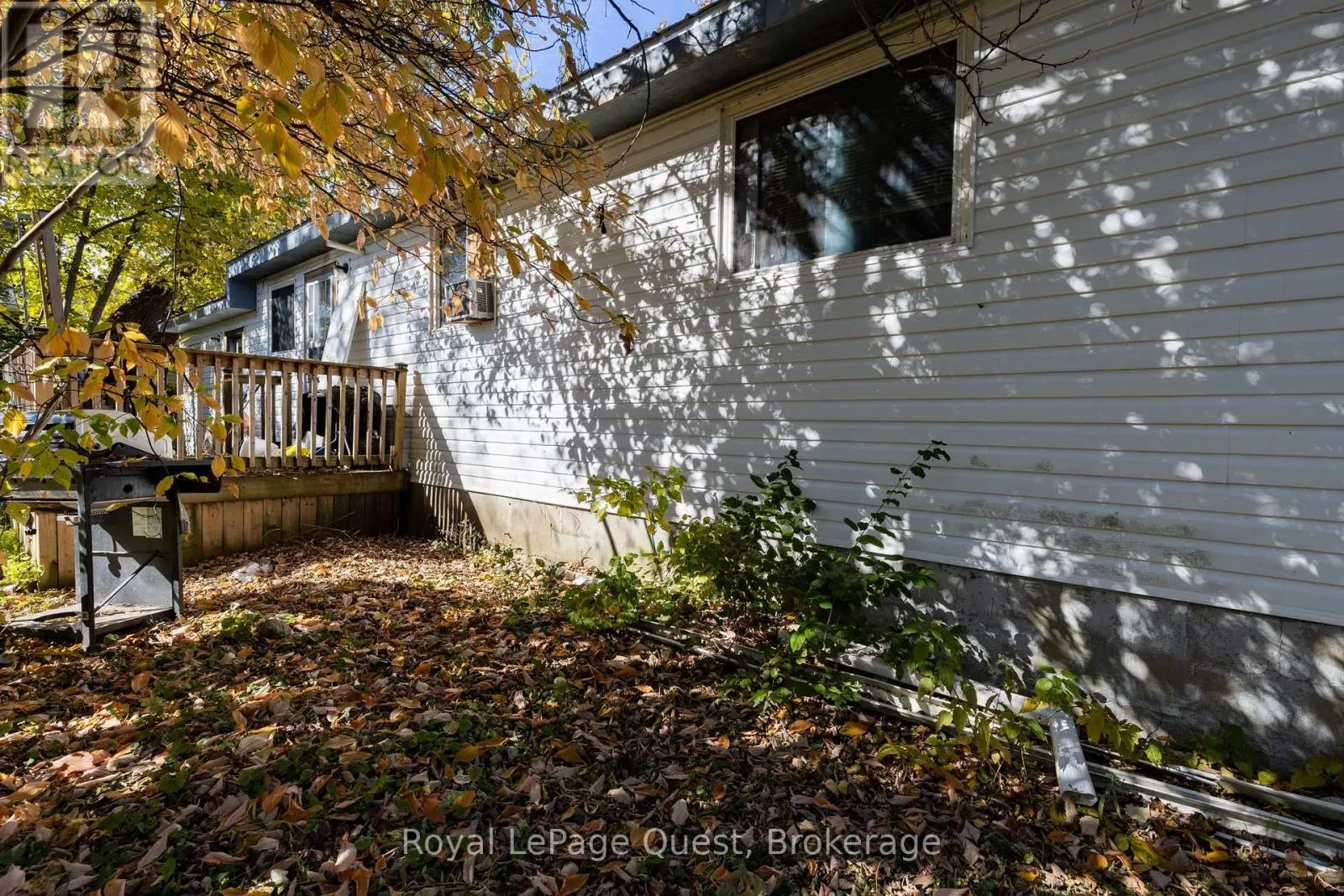 13 GRACE AVENUE
