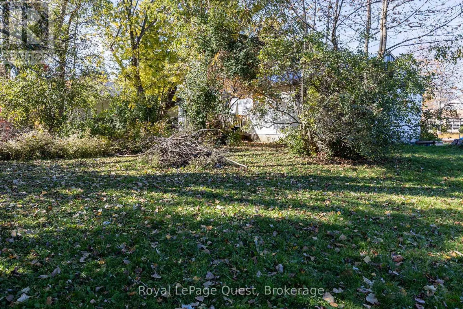13 GRACE AVENUE