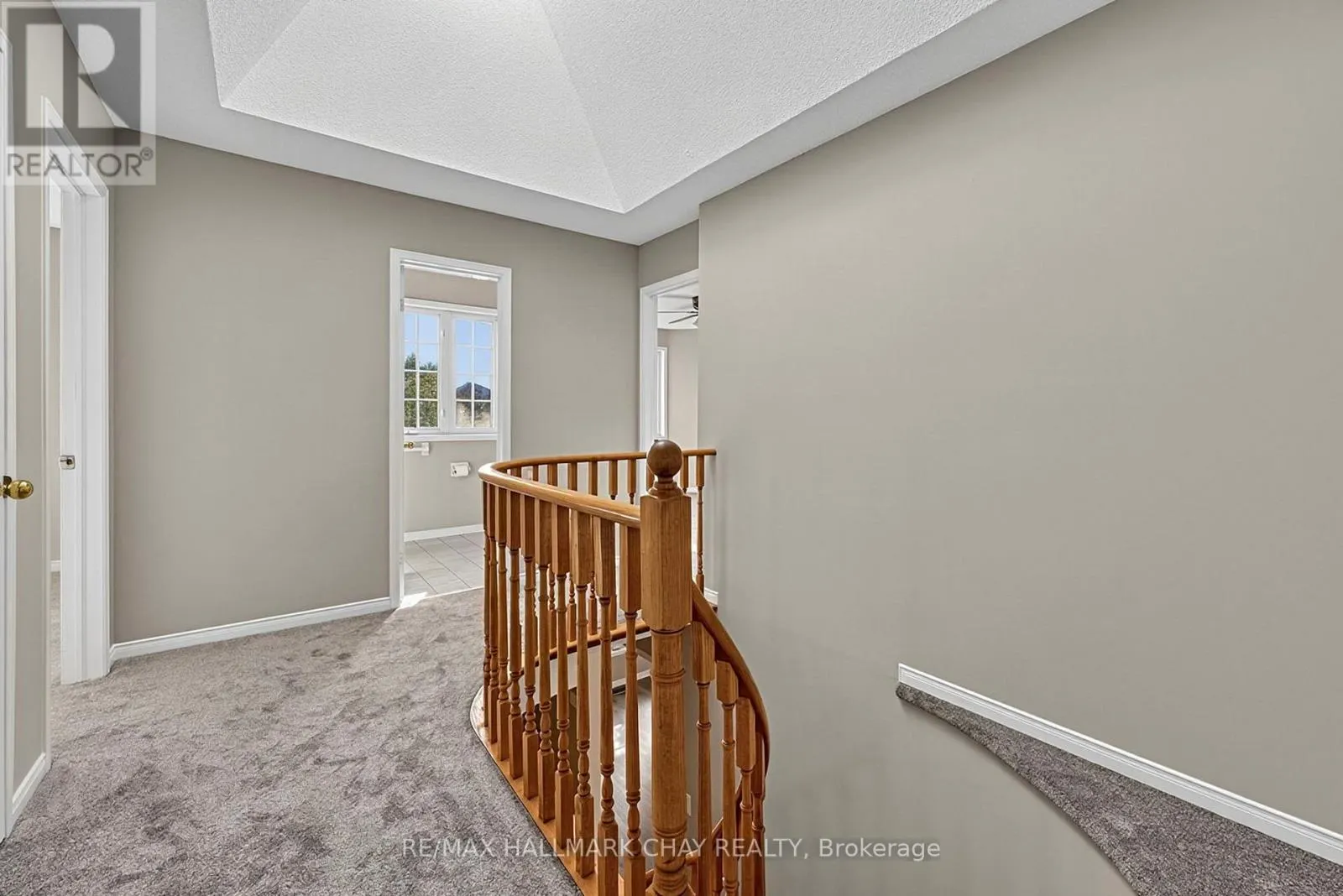 50 LOON AVENUE