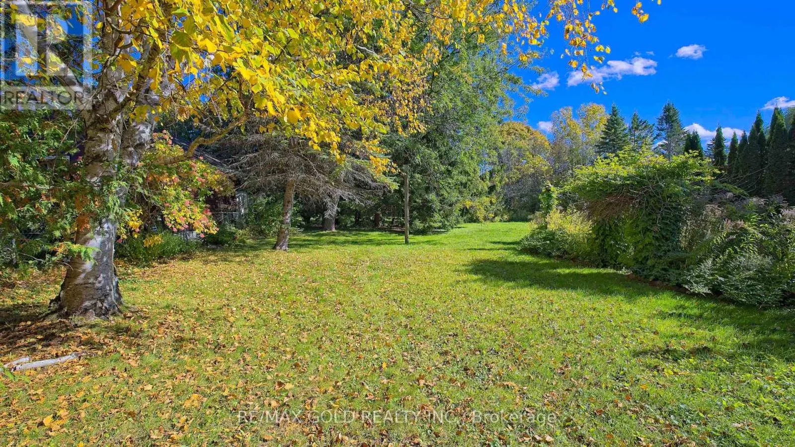 51 BECK BOULEVARD