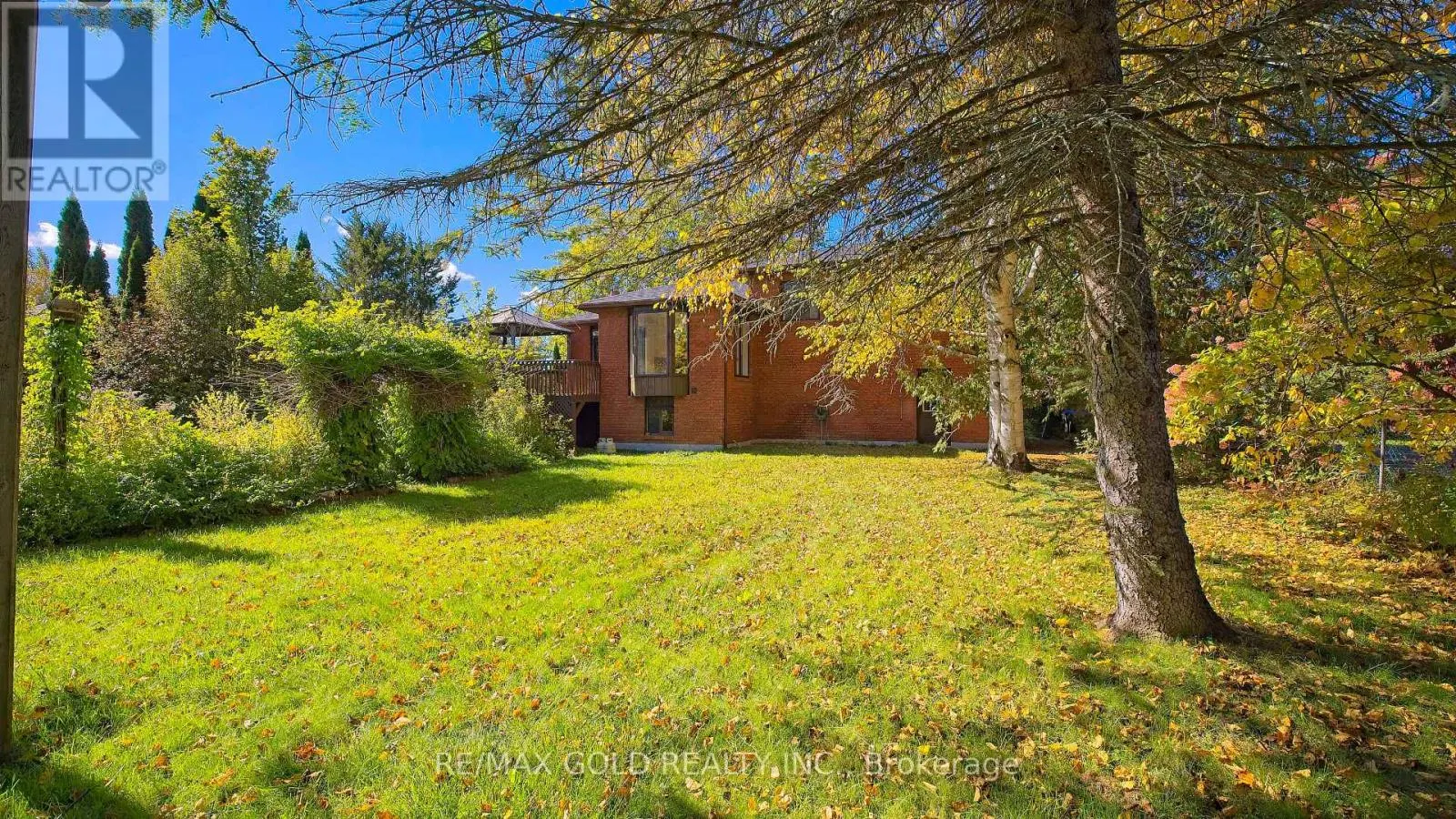 51 BECK BOULEVARD
