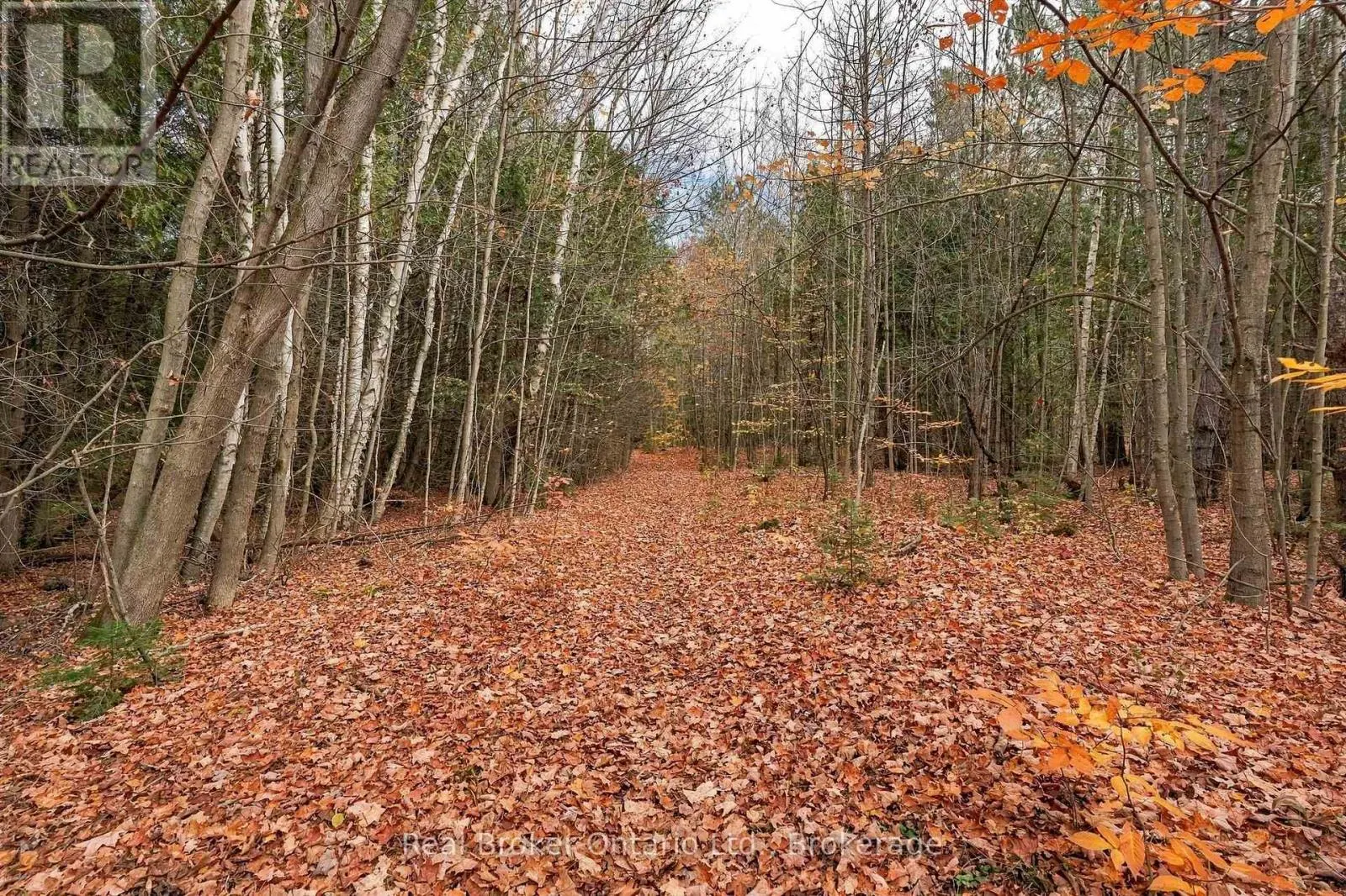 LT 84 PENETANGUISHENE RD ROAD
