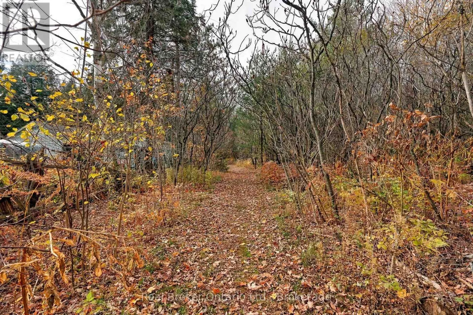 LT 84 PENETANGUISHENE RD ROAD