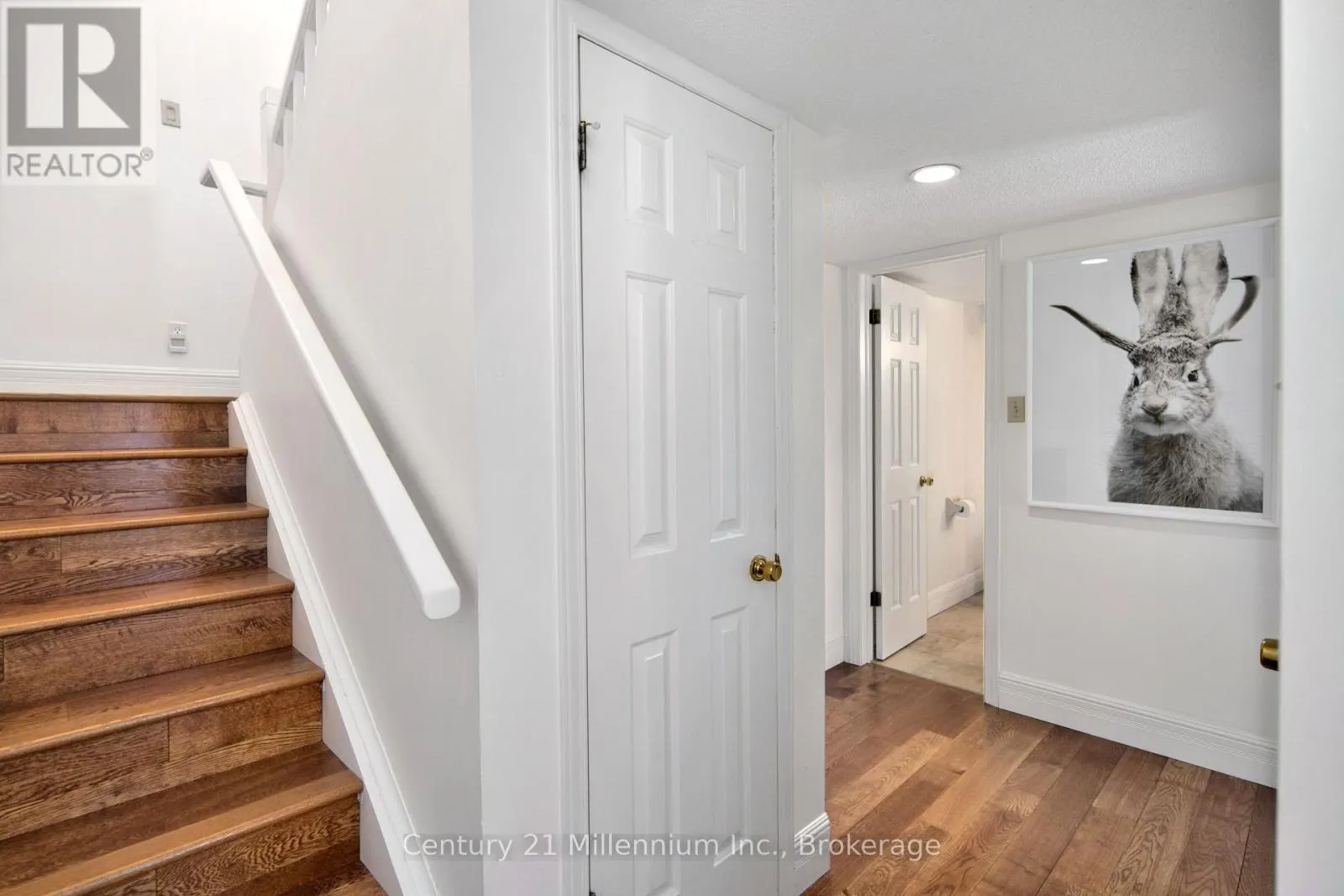 5 - 215 PINE STREET #5