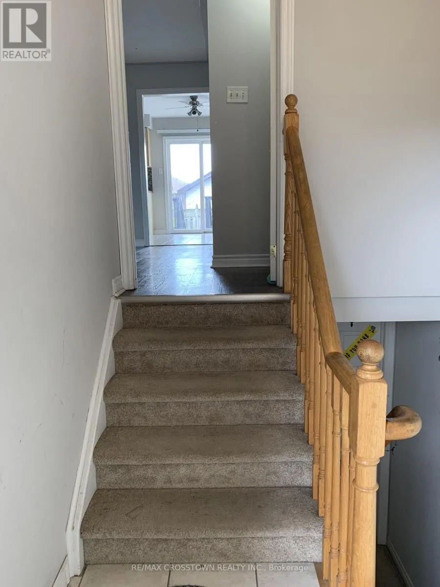 MAIN - 114 BIRD STREET