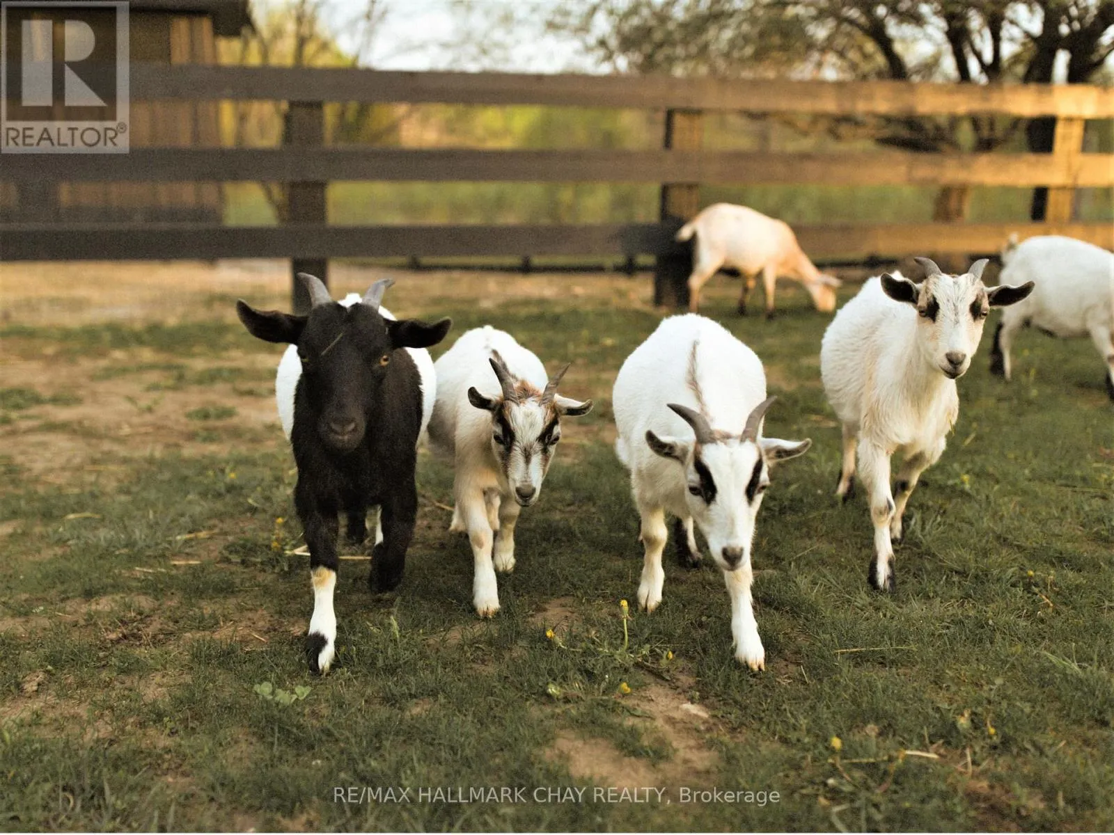 LOT 39 FRIESIAN COURT