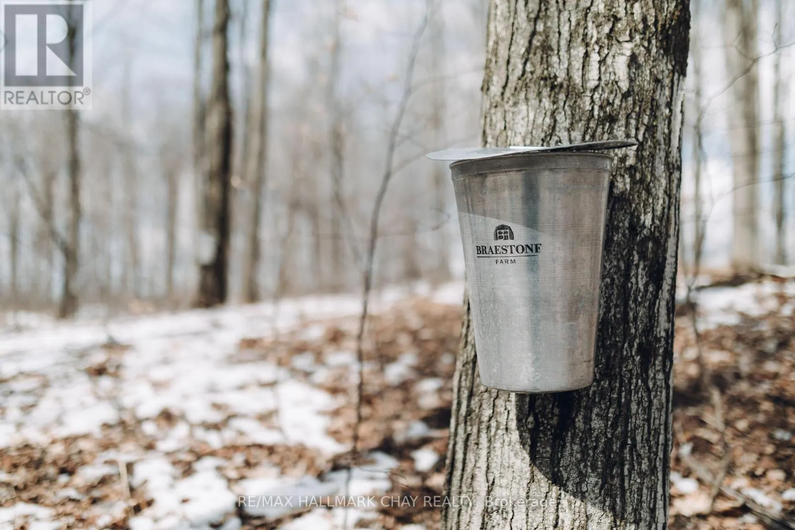 LOT 39 FRIESIAN COURT