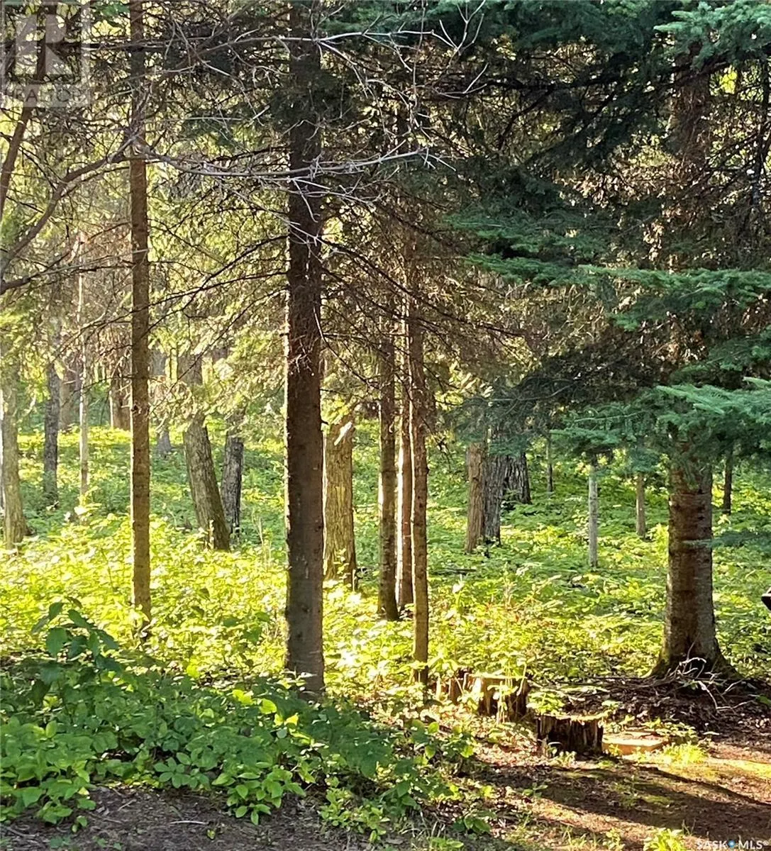 110 Grouse - McPhee Lake