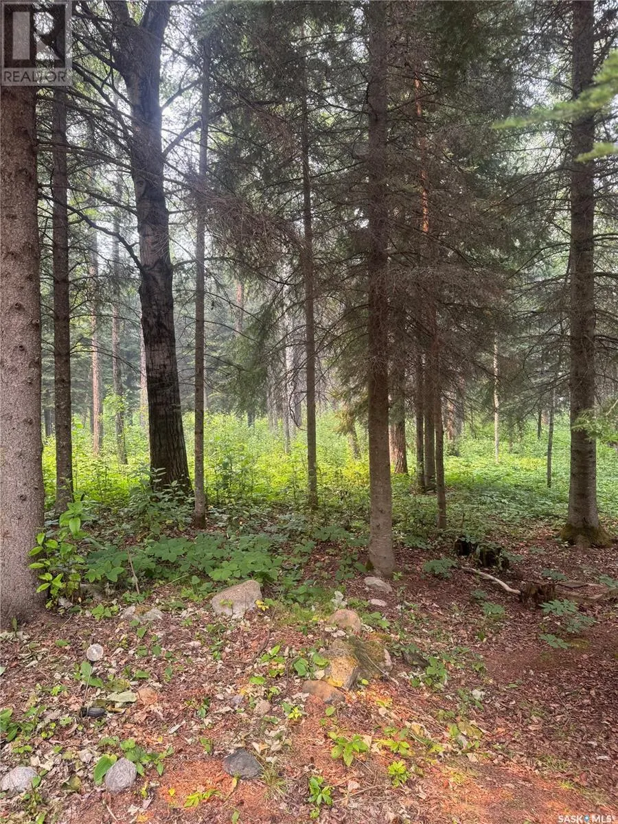 110 Grouse - McPhee Lake