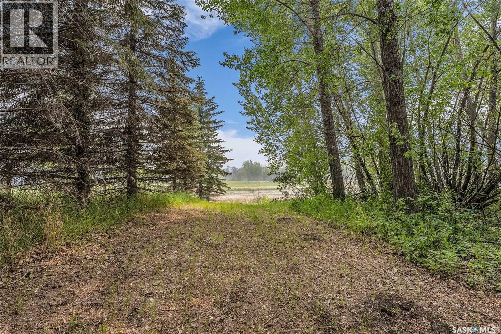 41 Silver Willow Road
