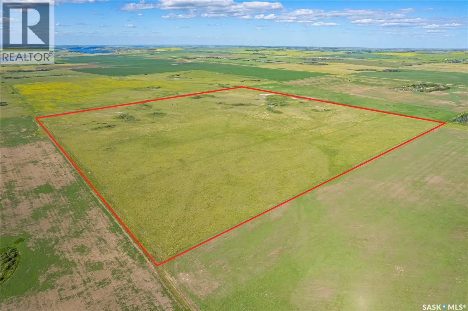 Hanley Area Farmland & Acreage