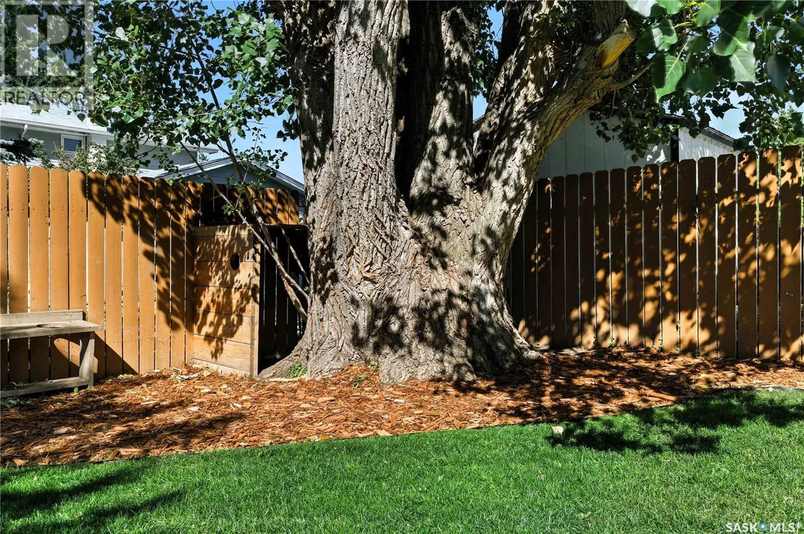 6 Wilkie ROAD