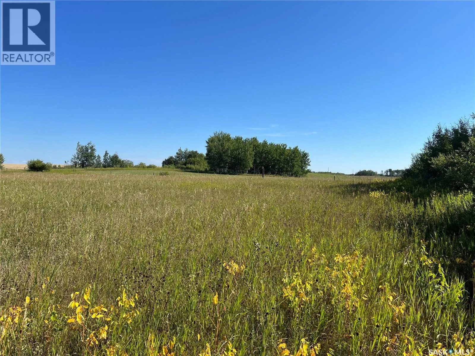 St Cyr RD 159 Acres