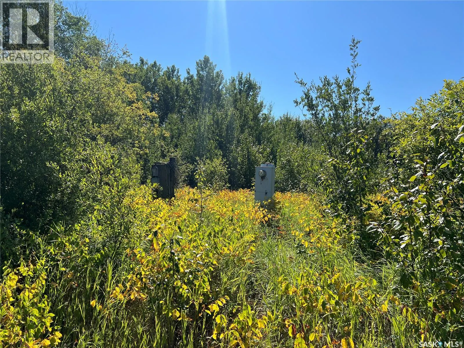 St Cyr RD 159 Acres