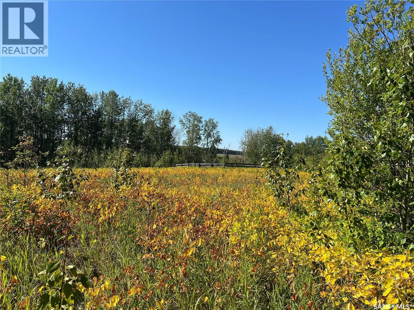 St Cyr RD 159 Acres