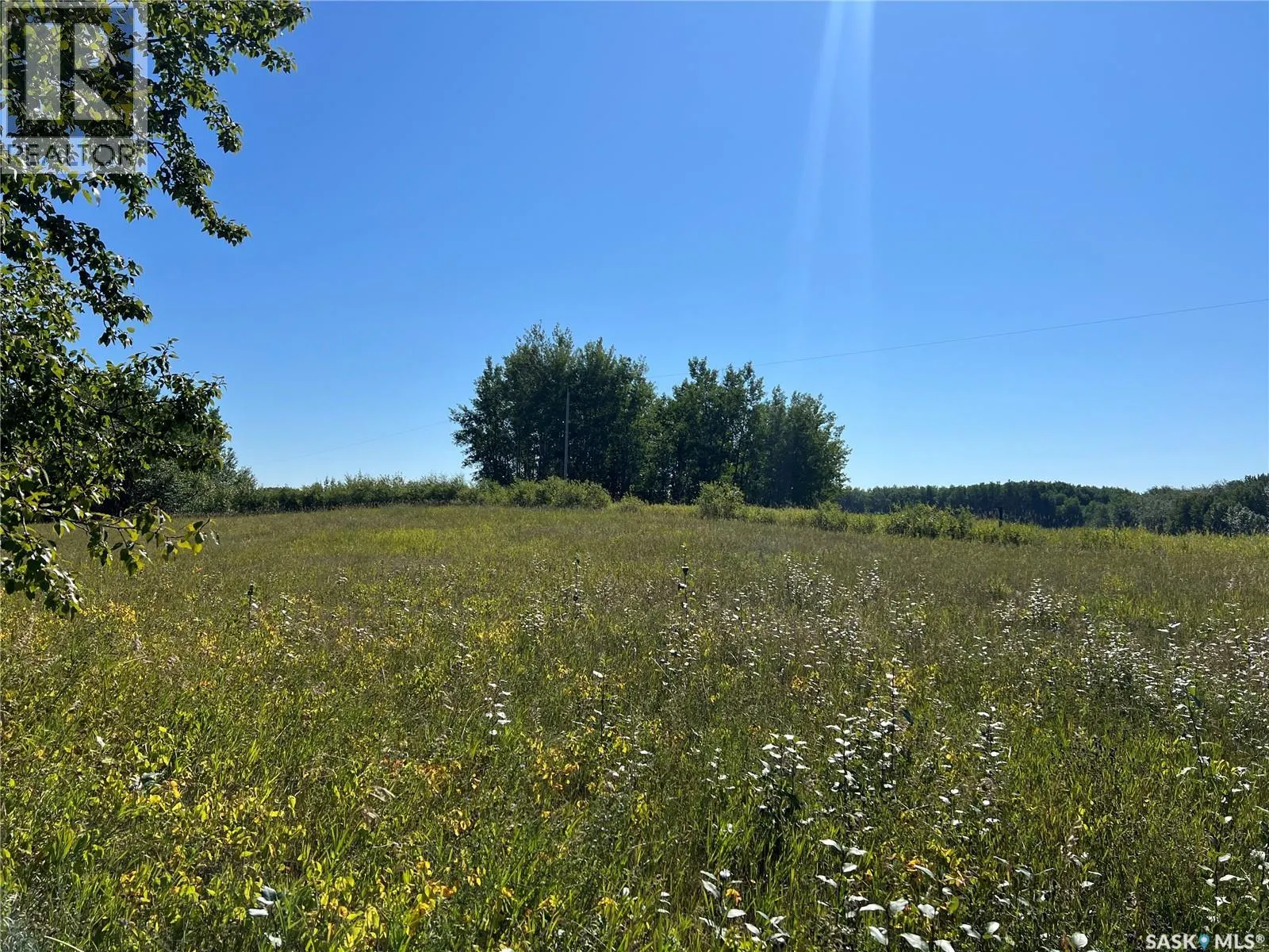 St Cyr RD 159 Acres