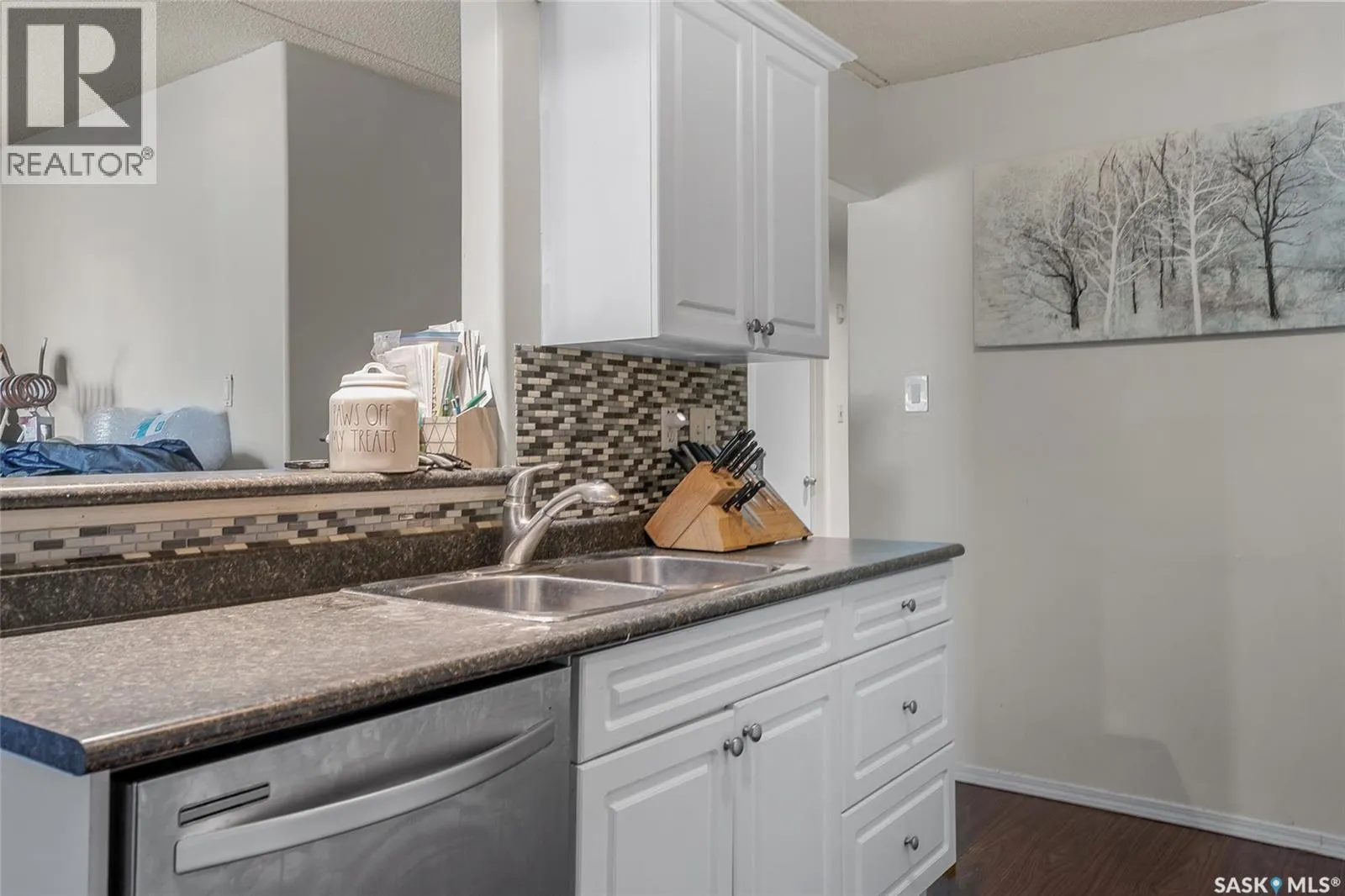 11 20 Assiniboine DRIVE
