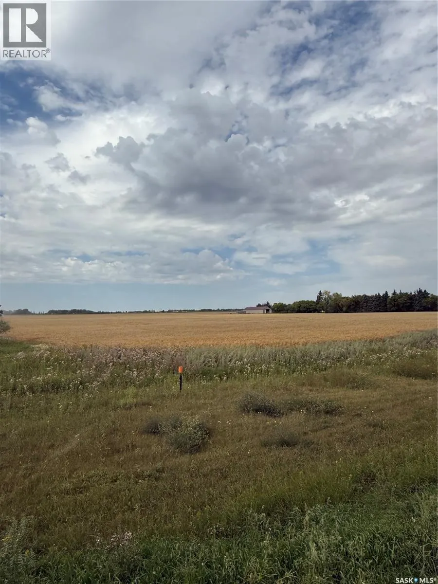 Rm of Orkney Hwy 9 Lot