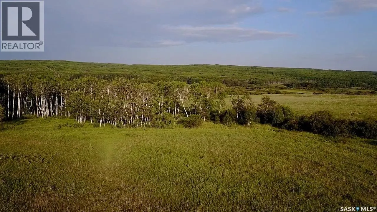 BELLOWS RECREATION PROPERTY