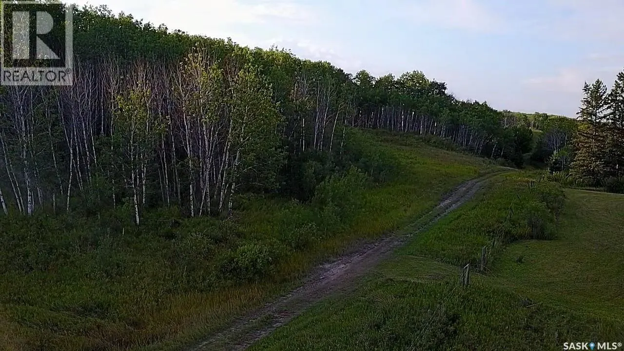 BELLOWS RECREATION PROPERTY