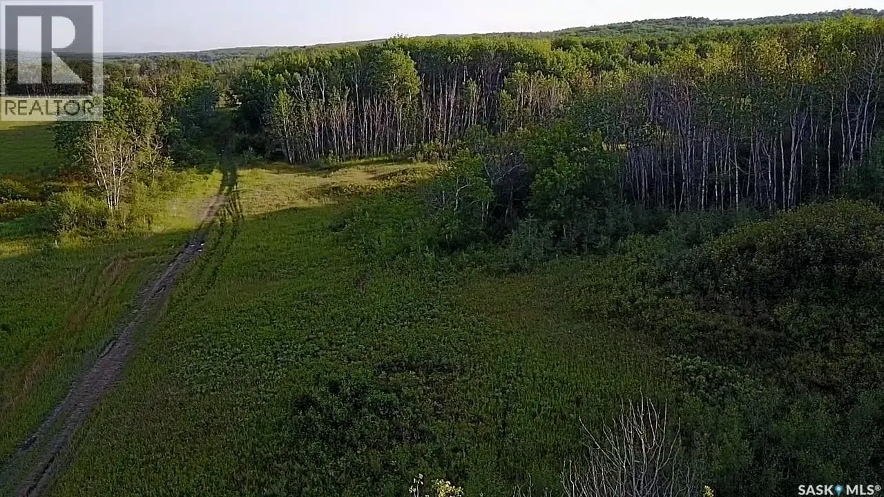 BELLOWS RECREATION PROPERTY