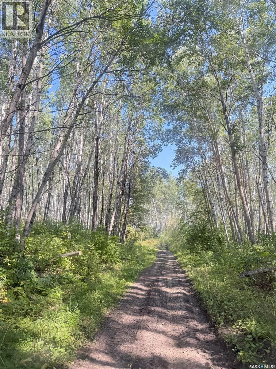 BELLOWS RECREATION PROPERTY