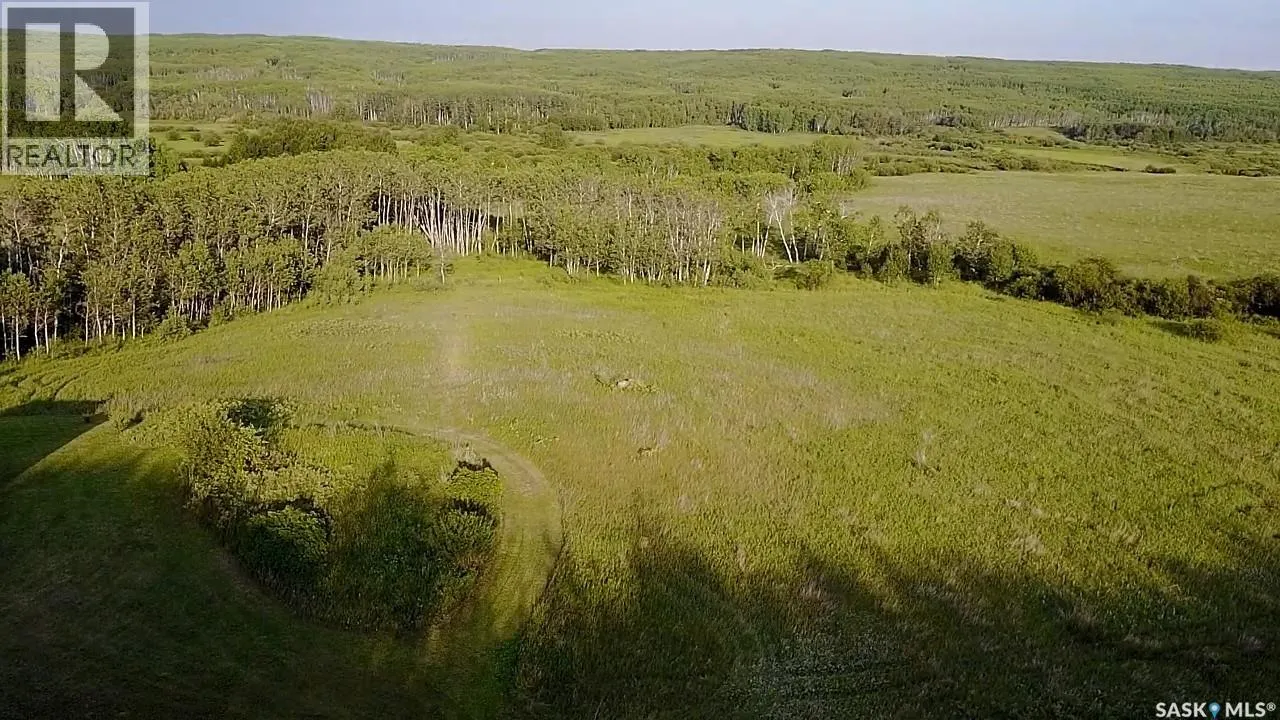 BELLOWS RECREATION PROPERTY
