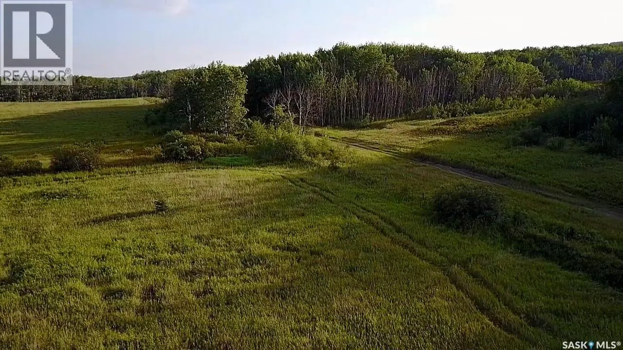 BELLOWS RECREATION PROPERTY
