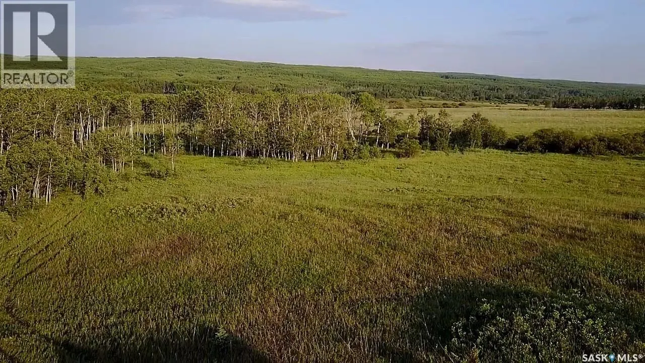 BELLOWS RECREATION PROPERTY