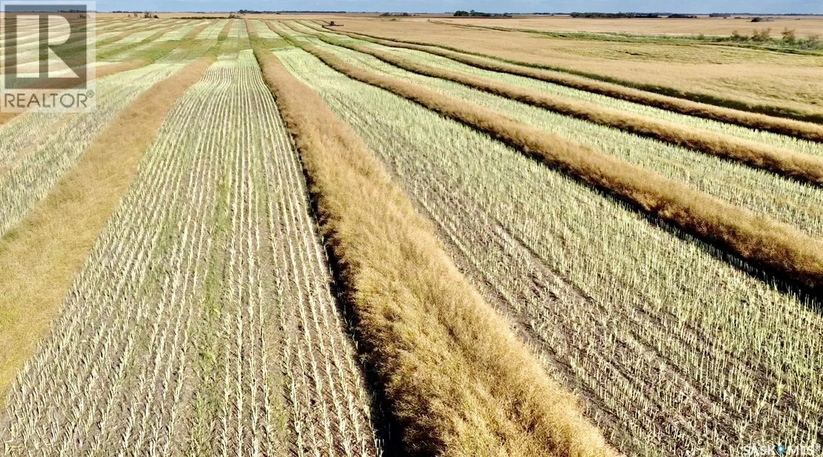 RM of Laird Grain Land
