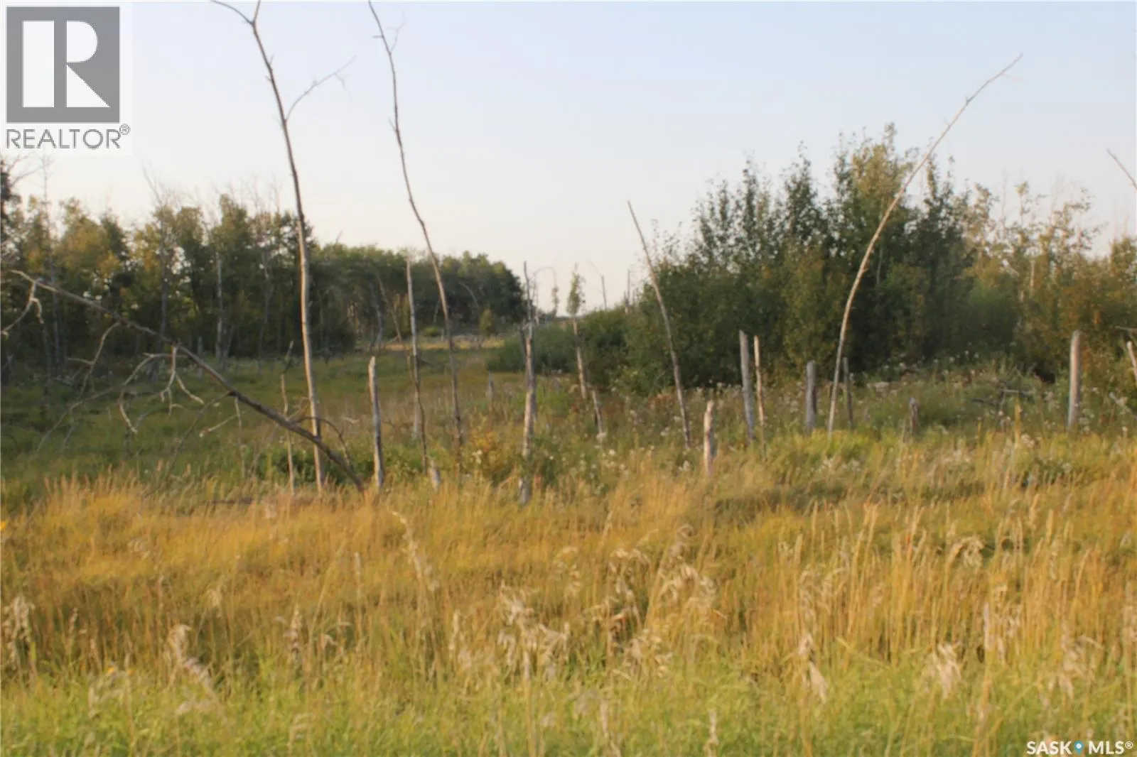 Kormos Farm
