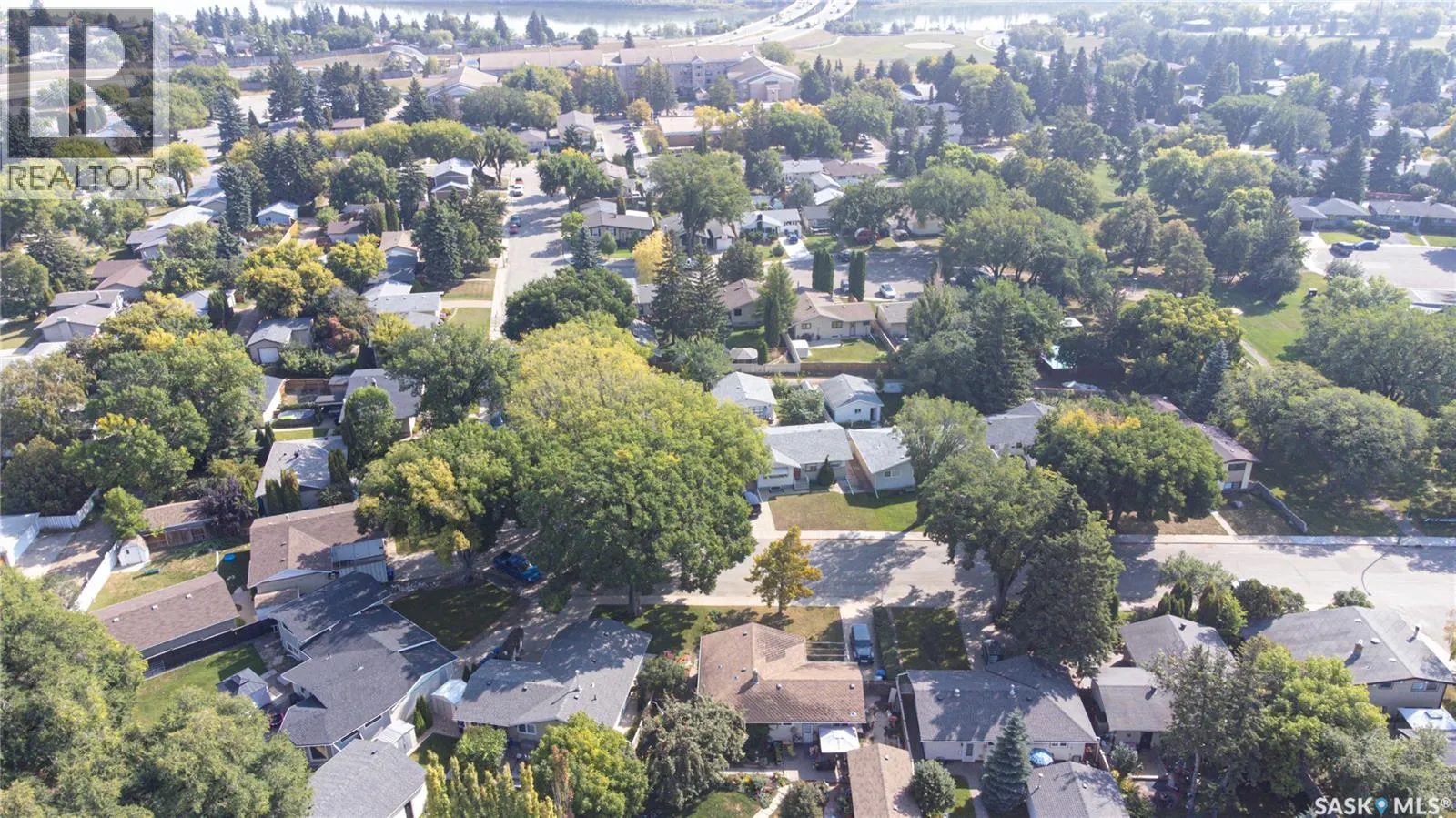 50 rupert DRIVE