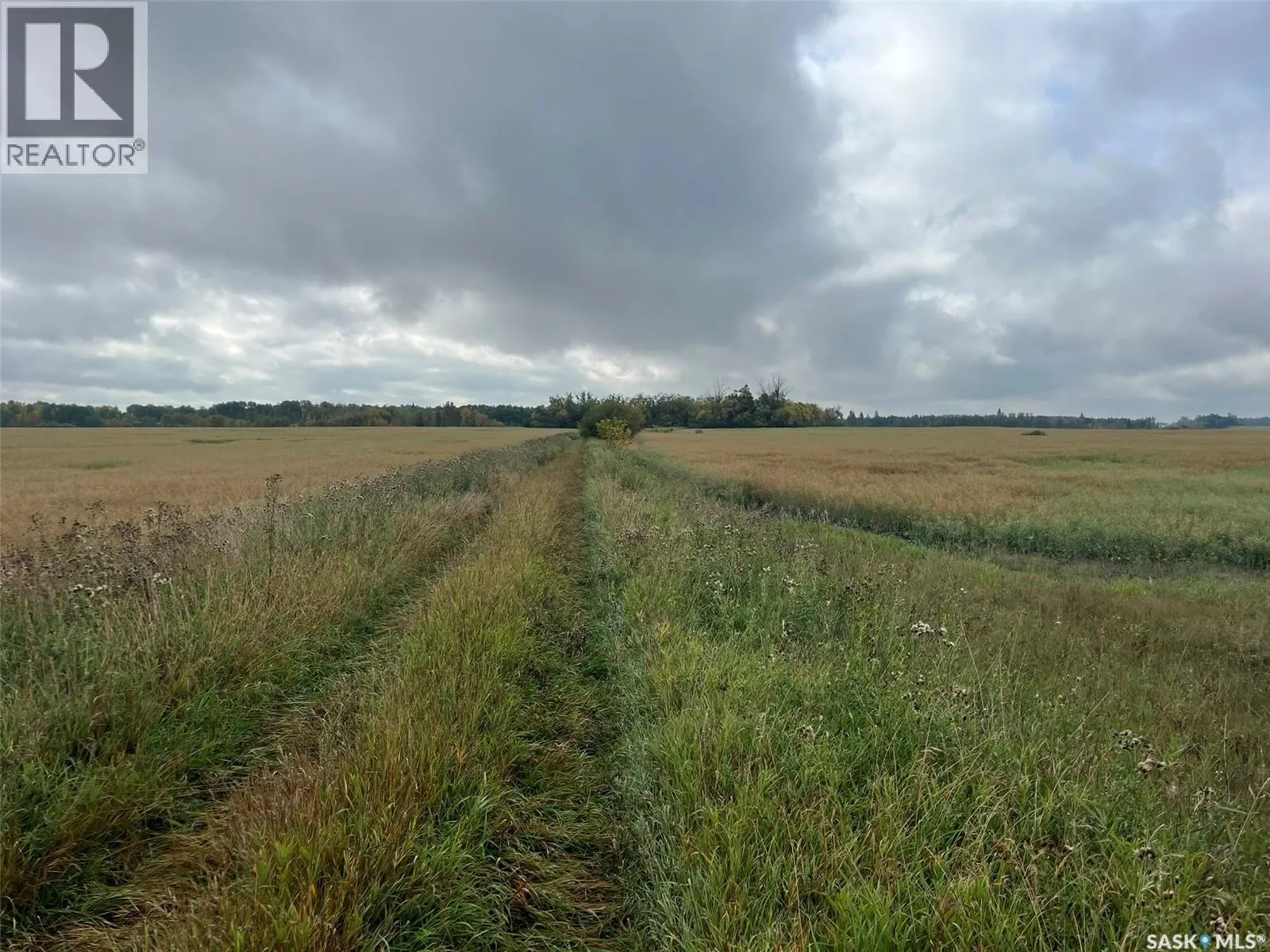 RM Buckland Farm Land