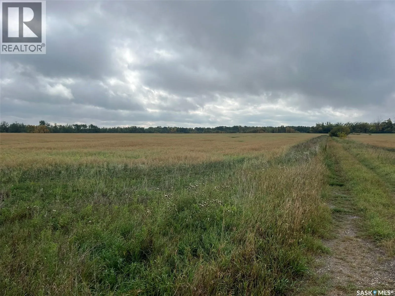 RM Buckland Farm Land