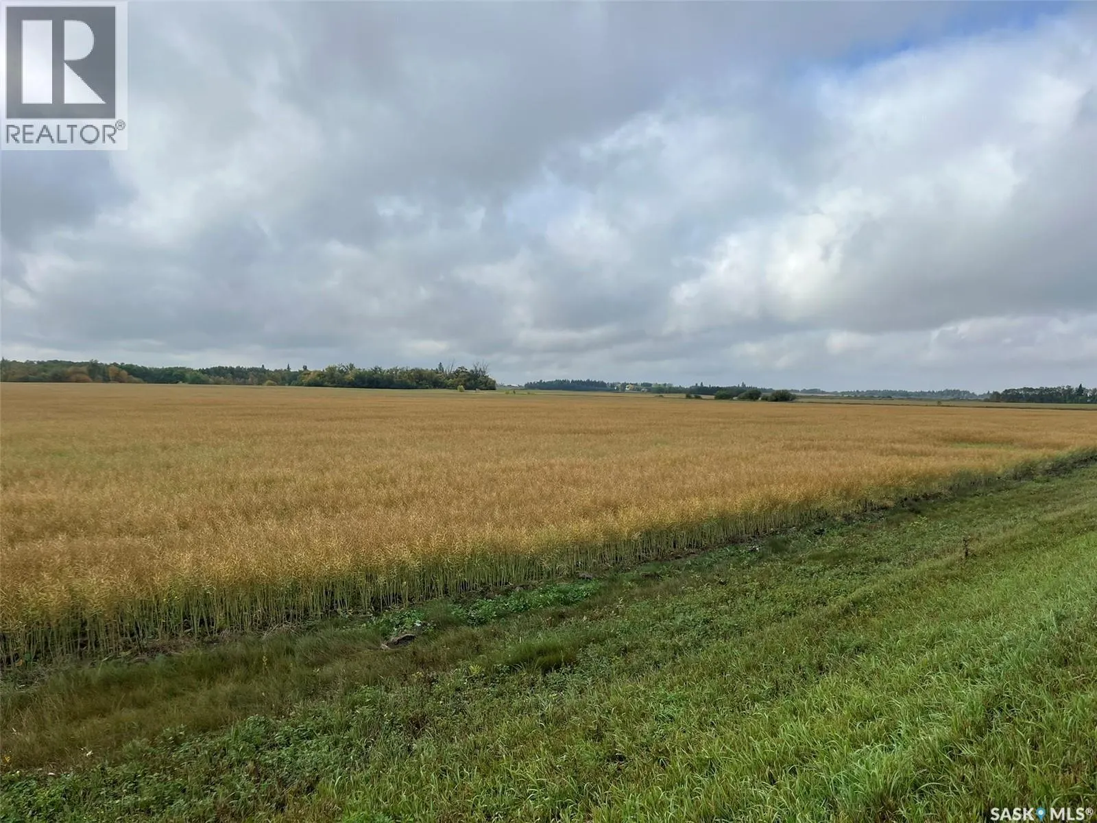 RM Buckland Farm Land