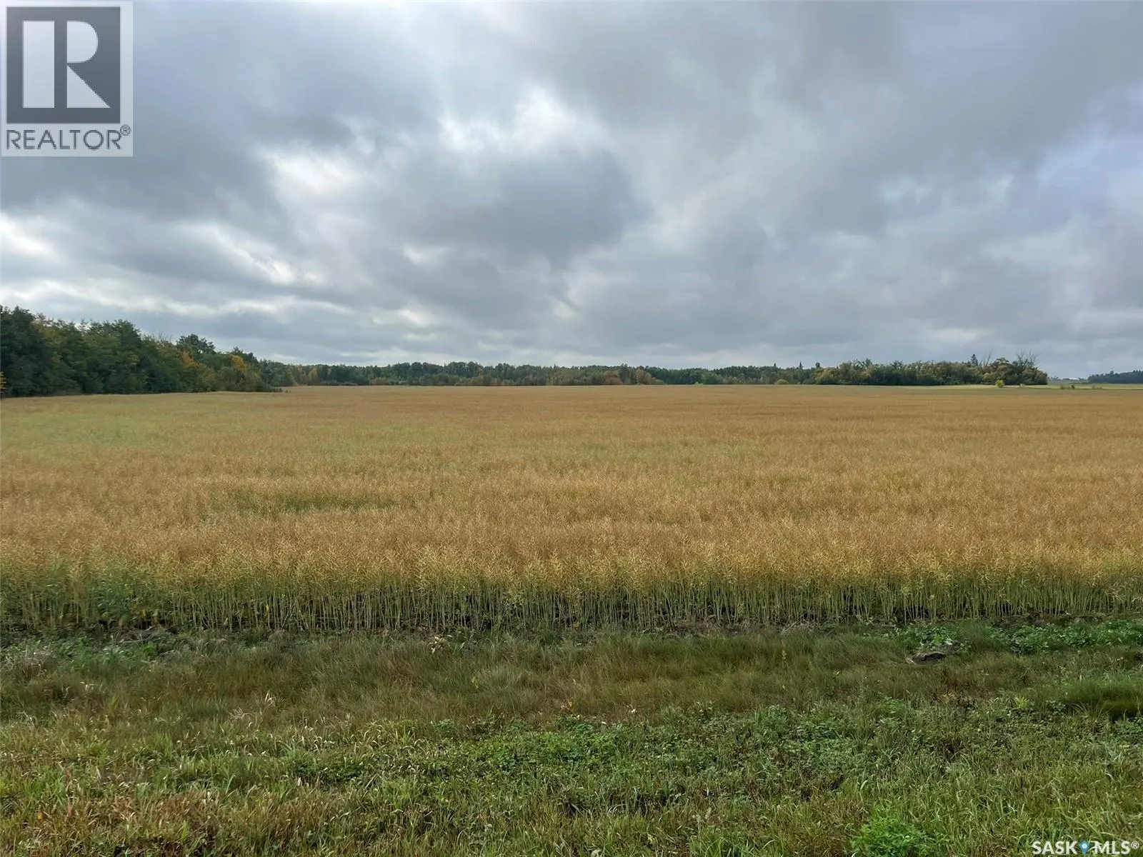 RM Buckland Farm Land