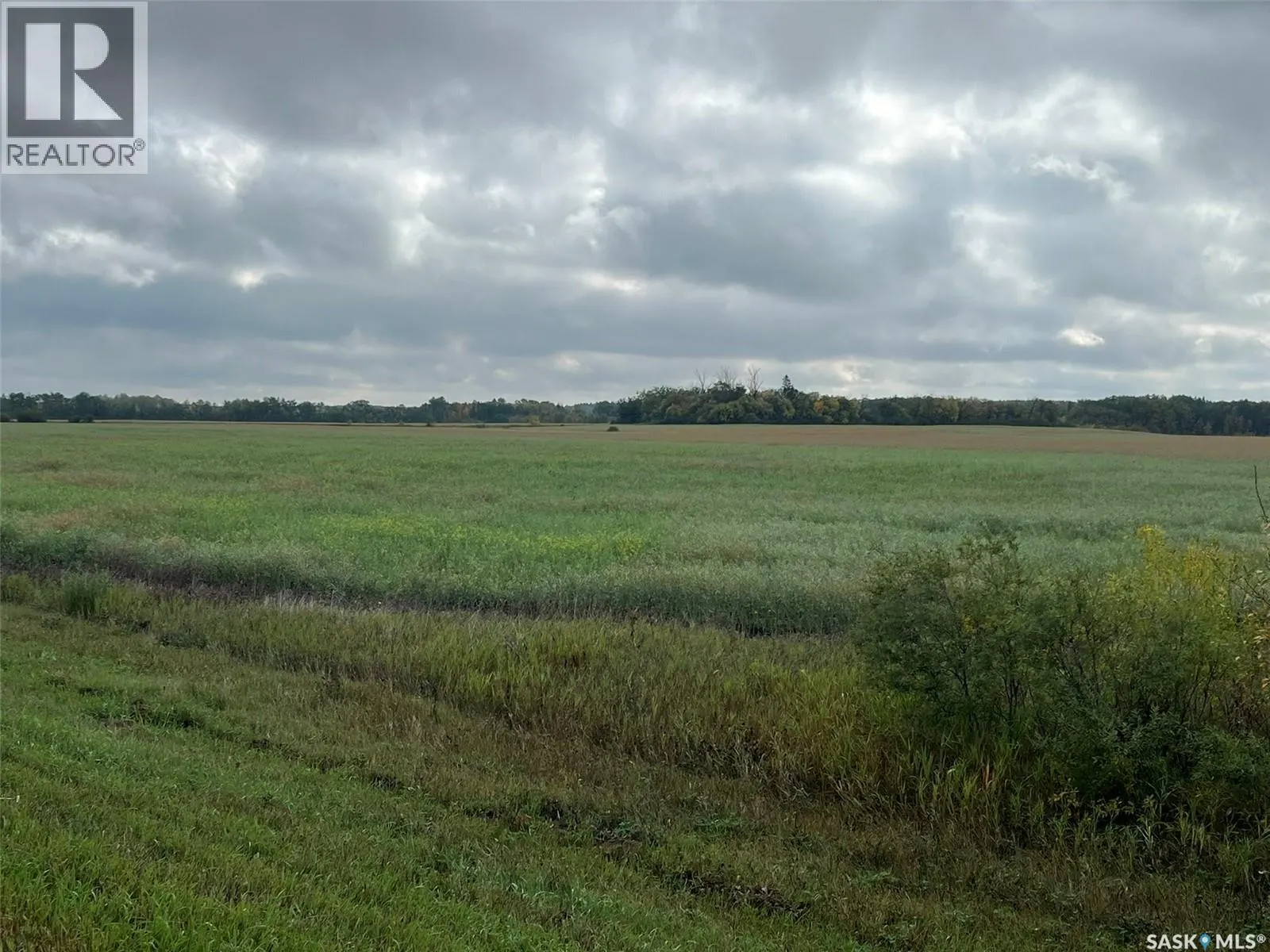 RM Buckland Farm Land
