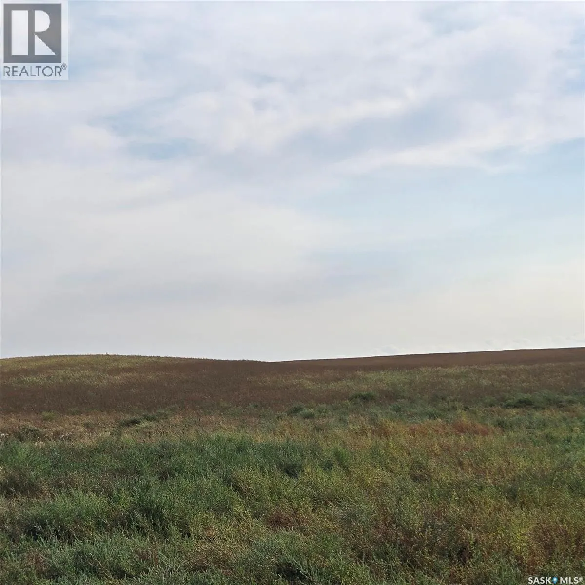 Colonsay Highway 2 Farmland