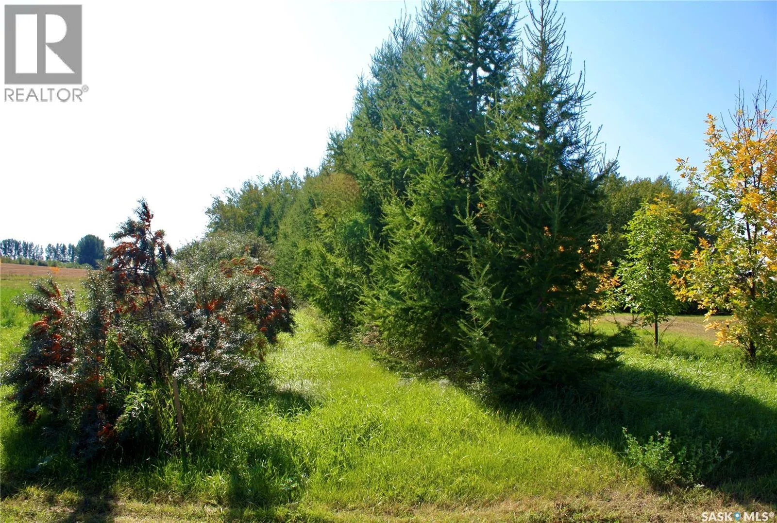 Warkentin Acreage