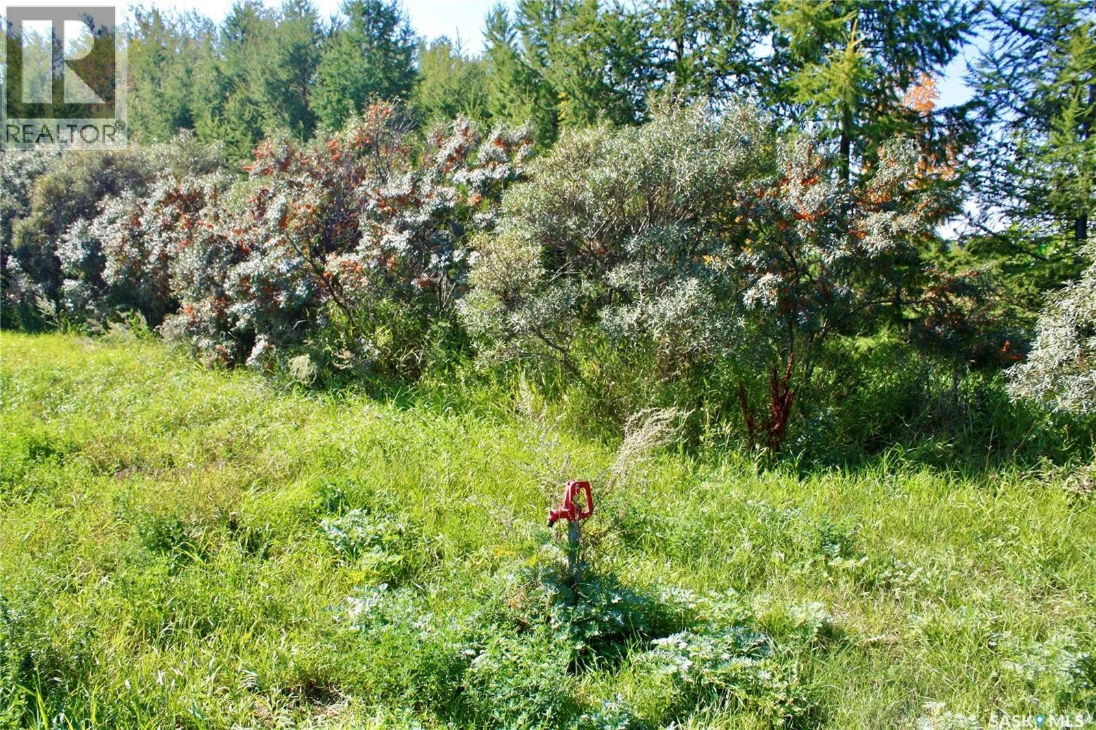 Warkentin Acreage