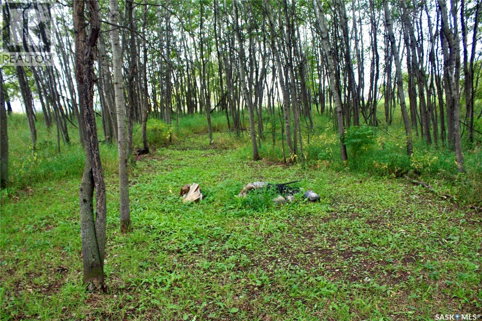 Warkentin Acreage