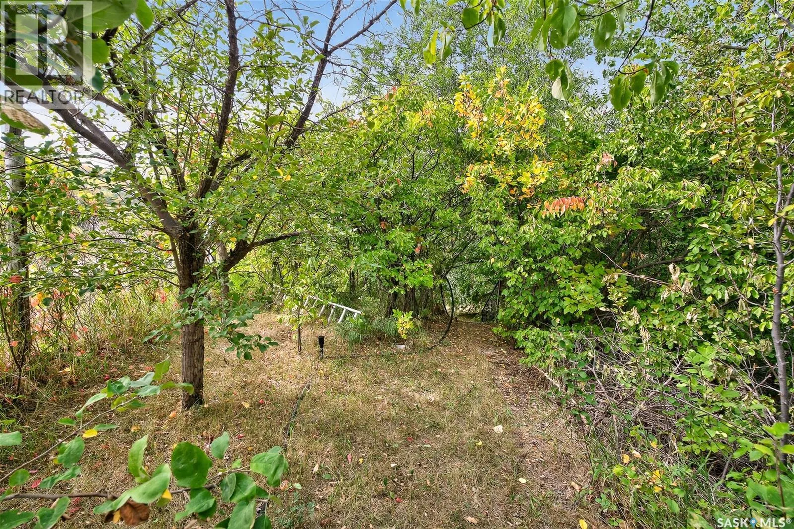 119 North Haven ROAD